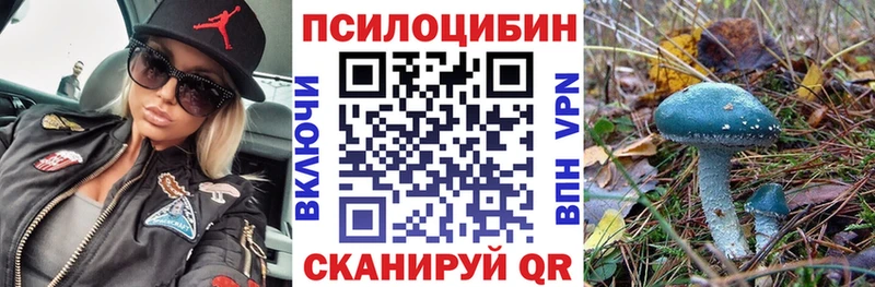 Псилоцибиновые грибы Cubensis Курск