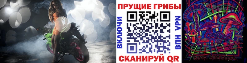 Псилоцибиновые грибы Psilocybine cubensis  купить наркотики сайты  Курск 