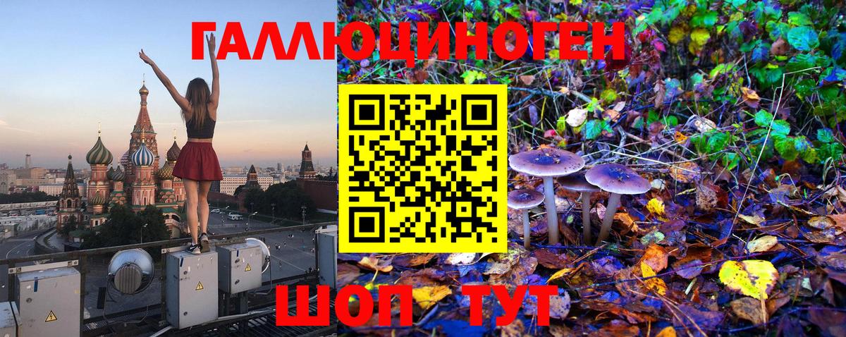 Псилоцибиновые грибы Magic Shrooms Курск