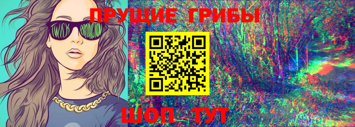 Галлюциногенные грибы GOLDEN TEACHER  Вход с VPN  Курск 