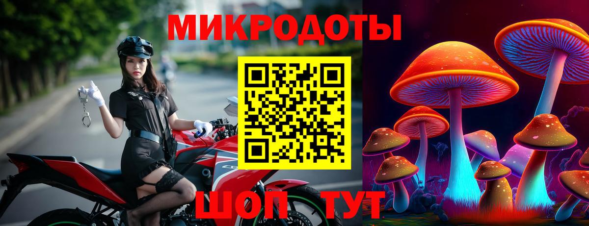 Галлюциногенные грибы MAGIC MUSHROOMS  Курск 