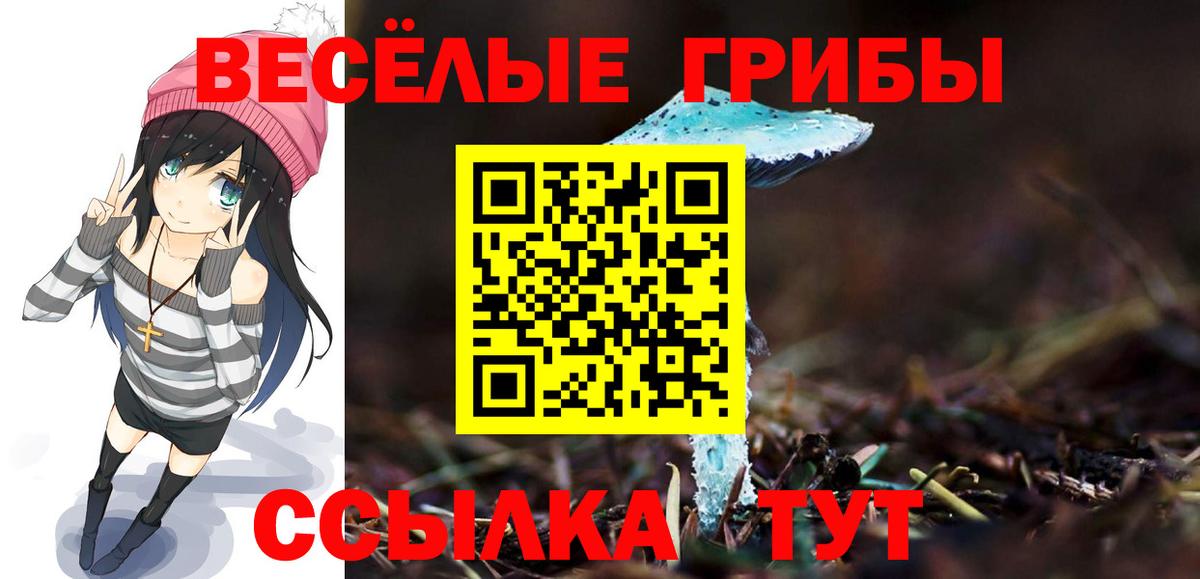 БУТИРАТ Курск